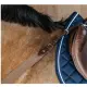 Dy\'on borsttuig met elastiek New English Collection